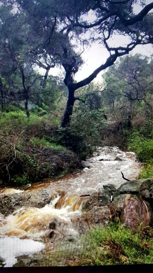 לוס אנג'לס Heaven'S Best Kept Secret 4 Min From The Sea מראה חיצוני תמונה